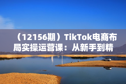 （12156期）TikTok电商布局实操运营课：从新手到精通，成为TikTok带货运营高手