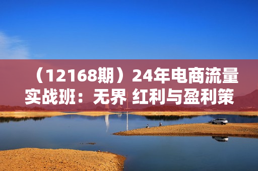 （12168期）24年电商流量实战班：无界 红利与盈利策略，终极提升/关键词优化/精准