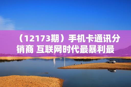（12173期）手机卡通讯分销商 互联网时代最暴利最久经不衰的项目，0门槛0费用，