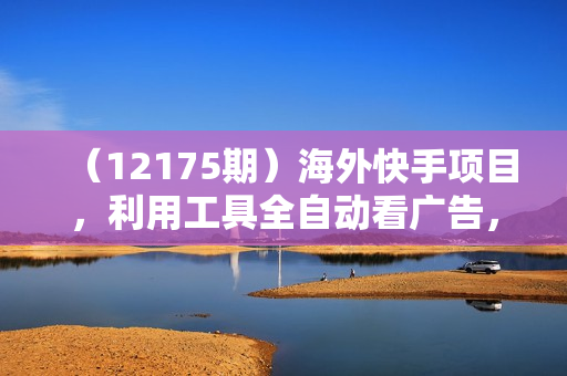 （12175期）海外快手项目，利用工具全自动看广告，每天轻松 300+