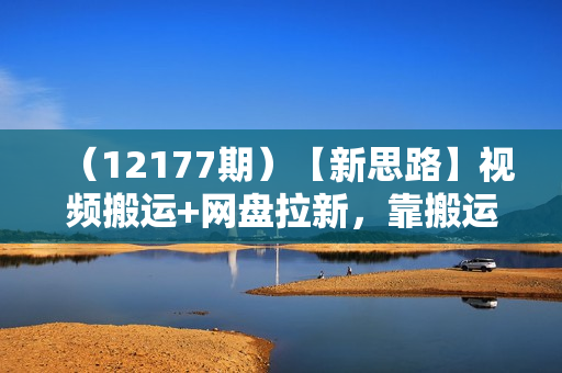 （12177期）【新思路】视频搬运+网盘拉新，靠搬运每日5000+简单暴力，0基础小白可参与