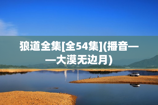狼道全集[全54集](播音——大漠无边月)
