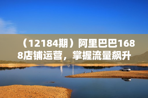 （12184期）阿里巴巴1688店铺运营，掌握流量飙升与排名优化秘籍 年销百万核心运营策略