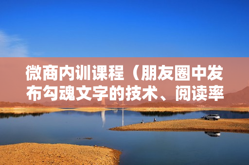 微商内训课程（朋友圈中发布勾魂文字的技术、阅读率飙升10倍的技术）等（共6节）