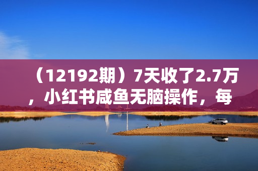 （12192期）7天收了2.7万，小红书咸鱼无脑操作，每单利润500至3000