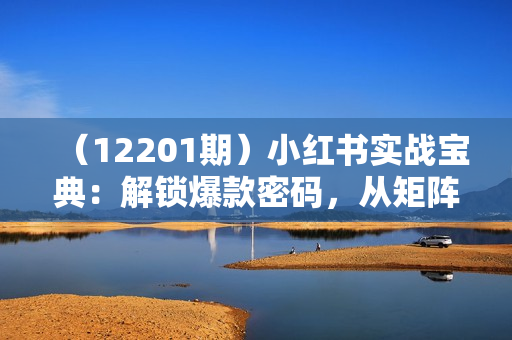 （12201期）小红书实战宝典：解锁爆款密码，从矩阵号到高效投放