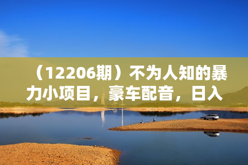 （12206期）不为人知的暴力小项目，豪车配音，日入3000+