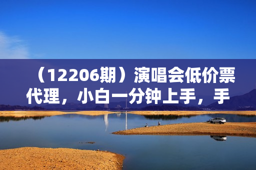 （12206期）演唱会低价票代理，小白一分钟上手，手把手教你卖票，日入2000+，会玩