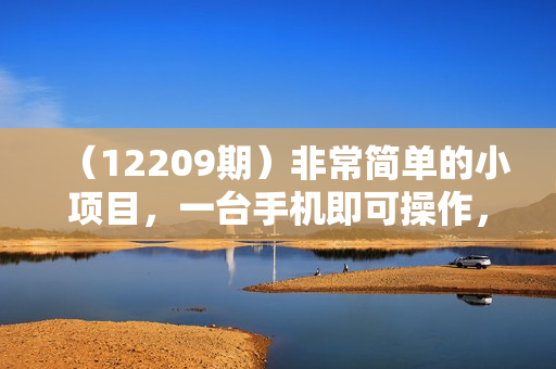 （12209期）非常简单的小项目，一台手机即可操作，两小时能做到500+，多劳多得。