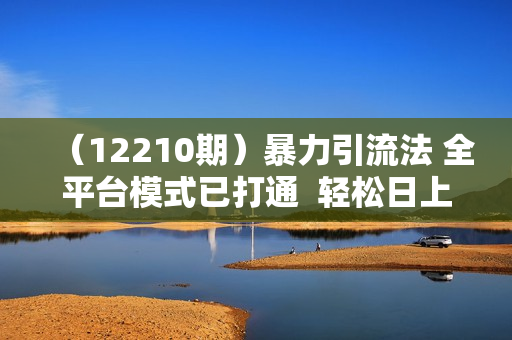 （12210期）暴力引流法 全平台模式已打通  轻松日上300+