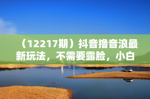 （12217期）抖音撸音浪最新玩法，不需要露脸，小白轻松上手，0成本就可操作，日入500+