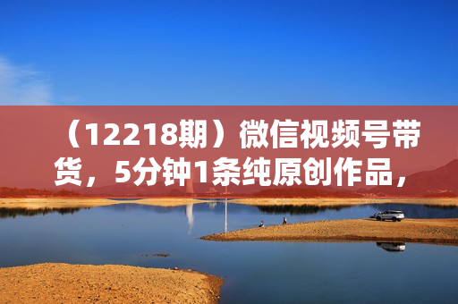（12218期）微信视频号带货，5分钟1条纯原创作品，照着做小白也能轻松日入500+
