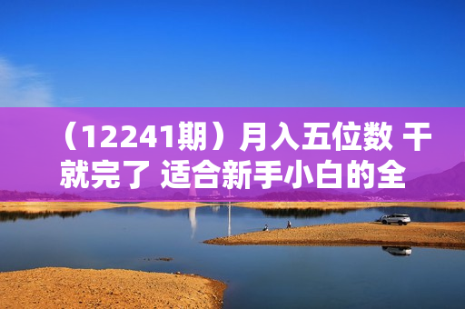 （12241期）月入五位数 干就完了 适合新手小白的全新火爆的电商项目