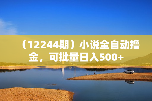 （12244期）小说全自动撸金，可批量日入500+
