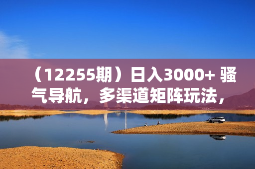 （12255期）日入3000+ 骚气导航，多渠道矩阵玩法，实操教程