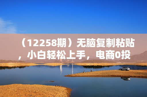 （12258期）无脑复制粘贴，小白轻松上手，电商0投资0成本轻松月入3W+