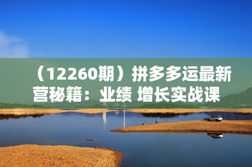 （12260期）拼多多运最新营秘籍：业绩 增长实战课，从基础到高阶，爆款打造与高效推广