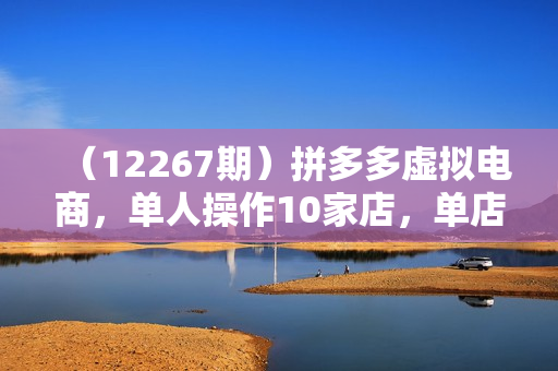 （12267期）拼多多虚拟电商，单人操作10家店，单店日盈利100+