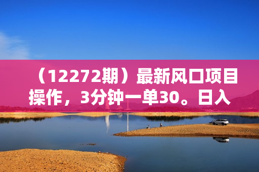 （12272期）最新风口项目操作，3分钟一单30。日入2000左右，零成本，无脑操作。