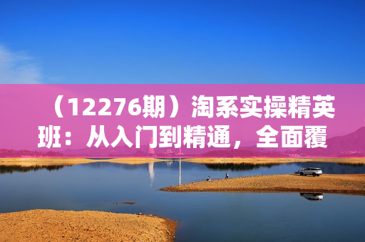 （12276期）淘系实操精英班：从入门到精通，全面覆盖，一站式掌握店铺盈利秘籍