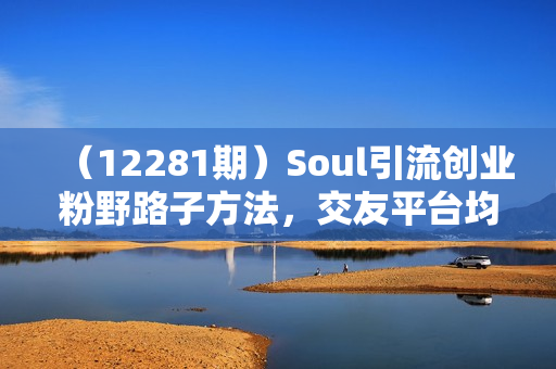 （12281期）Soul引流创业粉野路子方法，交友平台均可引日均300+，无需剪视频写文案