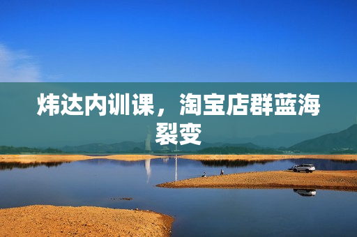 炜达内训课，淘宝店群蓝海裂变