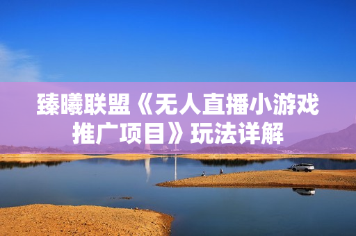 臻曦联盟《无人直播小游戏推广项目》玩法详解