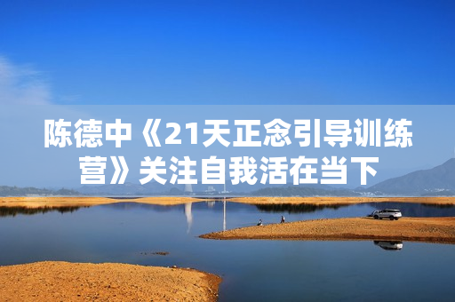 陈德中《21天正念引导训练营》关注自我活在当下