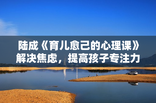 陆成《育儿愈己的心理课》解决焦虑，提高孩子专注力