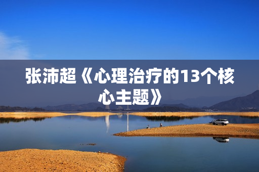 张沛超《心理治疗的13个核心主题》
