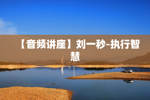 【音频讲座】刘一秒-执行智慧