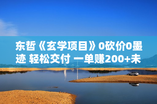 东哲《玄学项目》0砍价0墨迹 轻松交付 一单赚200+未来20年红利