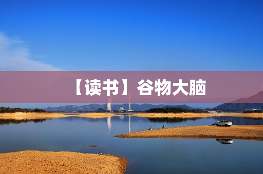 【读书】谷物大脑