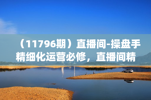 （11796期）直播间-操盘手精细化运营必修，直播间精细化运营全流程解读 (11节)