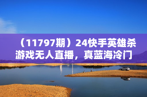 （11797期）24快手英雄杀游戏无人直播，真蓝海冷门赛道，学会轻松日入800+