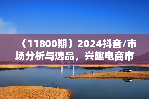 （11800期）2024抖音/市场分析与选品，兴趣电商市场分析与选品