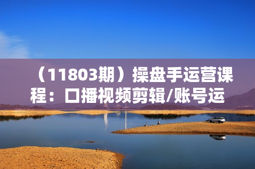 （11803期）操盘手运营课程：口播视频剪辑/账号运营/文案/绿幕剪辑/引流/干货/16节
