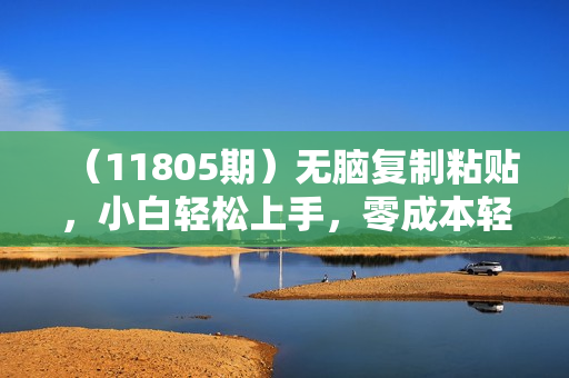 （11805期）无脑复制粘贴，小白轻松上手，零成本轻松日入500+
