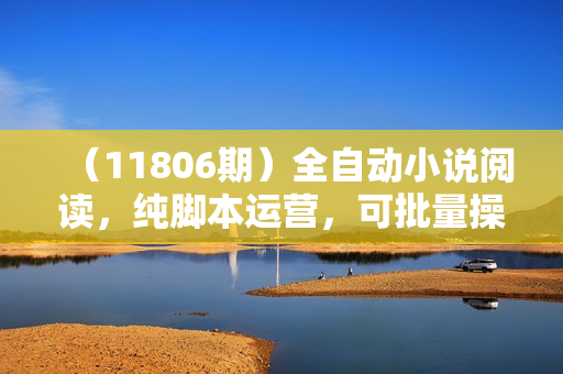 （11806期）全自动小说阅读，纯脚本运营，可批量操作，稳定有保障，时间自由，日均