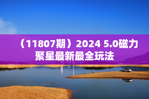 （11807期）2024 5.0磁力聚星最新最全玩法