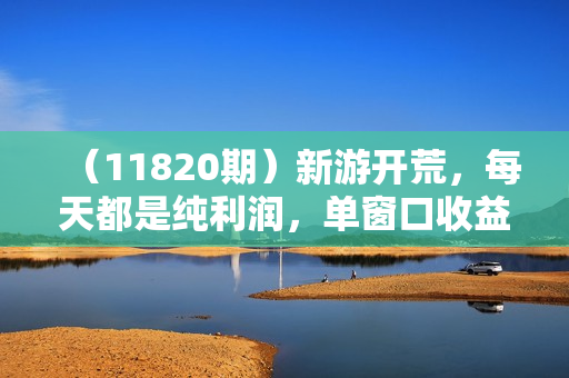 （11820期）新游开荒，每天都是纯利润，单窗口收益15~50，单机收益200+