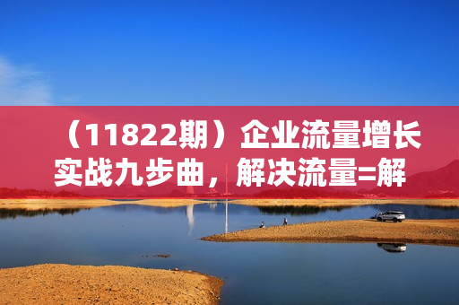 （11822期）企业流量增长实战九步曲，解决流量=解决企业焦虑难题，老板如何做流量