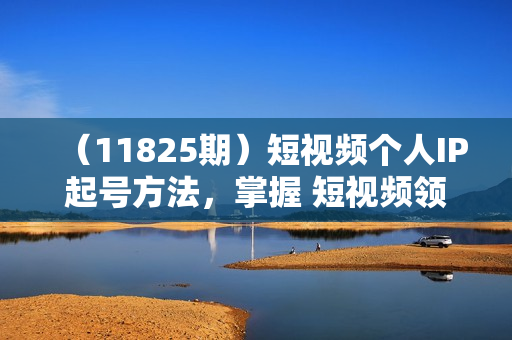 （11825期）短视频个人IP起号方法，掌握 短视频领域，洞察 短视频新玩法（68节完整）