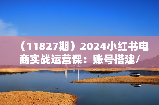 （11827期）2024小红书电商实战运营课：账号搭建/开店流程/选品/爆款笔记/截流/变现