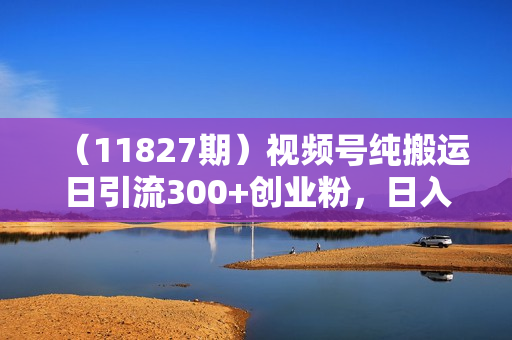 （11827期）视频号纯搬运日引流300+创业粉，日入4000+