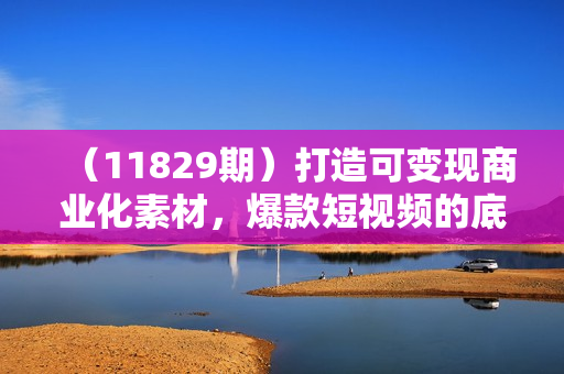 （11829期）打造可变现商业化素材，爆款短视频的底层逻辑，商业化内容的变现逻辑-7节