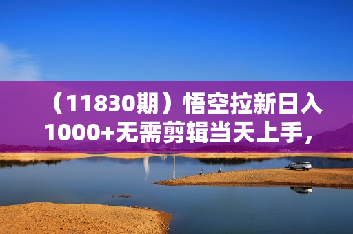 （11830期）悟空拉新日入1000+无需剪辑当天上手，一部手机随时随地可做，全流程无