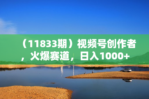 （11833期）视频号创作者，火爆赛道，日入1000+