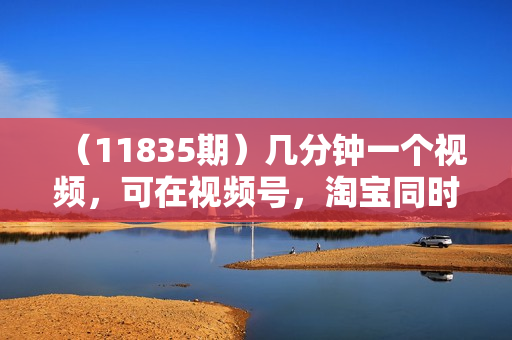（11835期）几分钟一个视频，可在视频号，淘宝同时获取收益，新手小白轻松日入2000