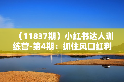 （11837期）小红书达人训练营-第4期：抓住风口红利期，可长期，放大操作的项目